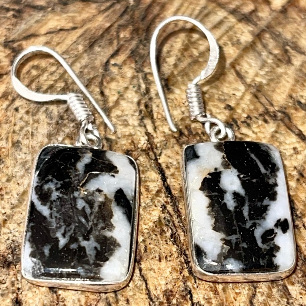 White Buffalo Turquoise Earrings 1 1/2” - Picture 8 of 10